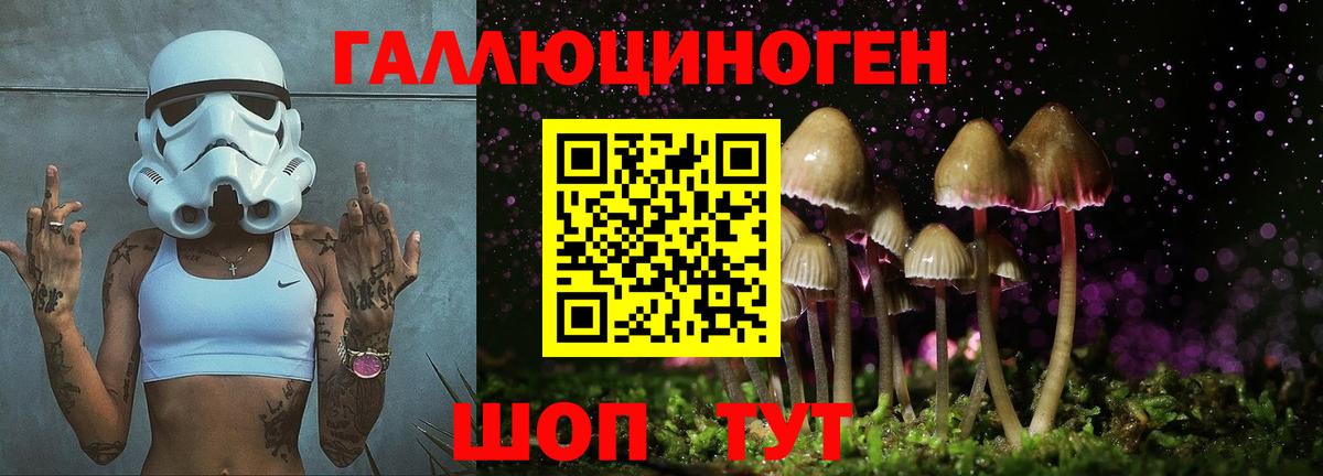 Галлюциногенные грибы мицелий Петрозаводск