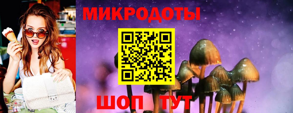 Галлюциногенные грибы мицелий  Вход с VPN  Петрозаводск  Псилоцибиновые грибы прущие грибы 
